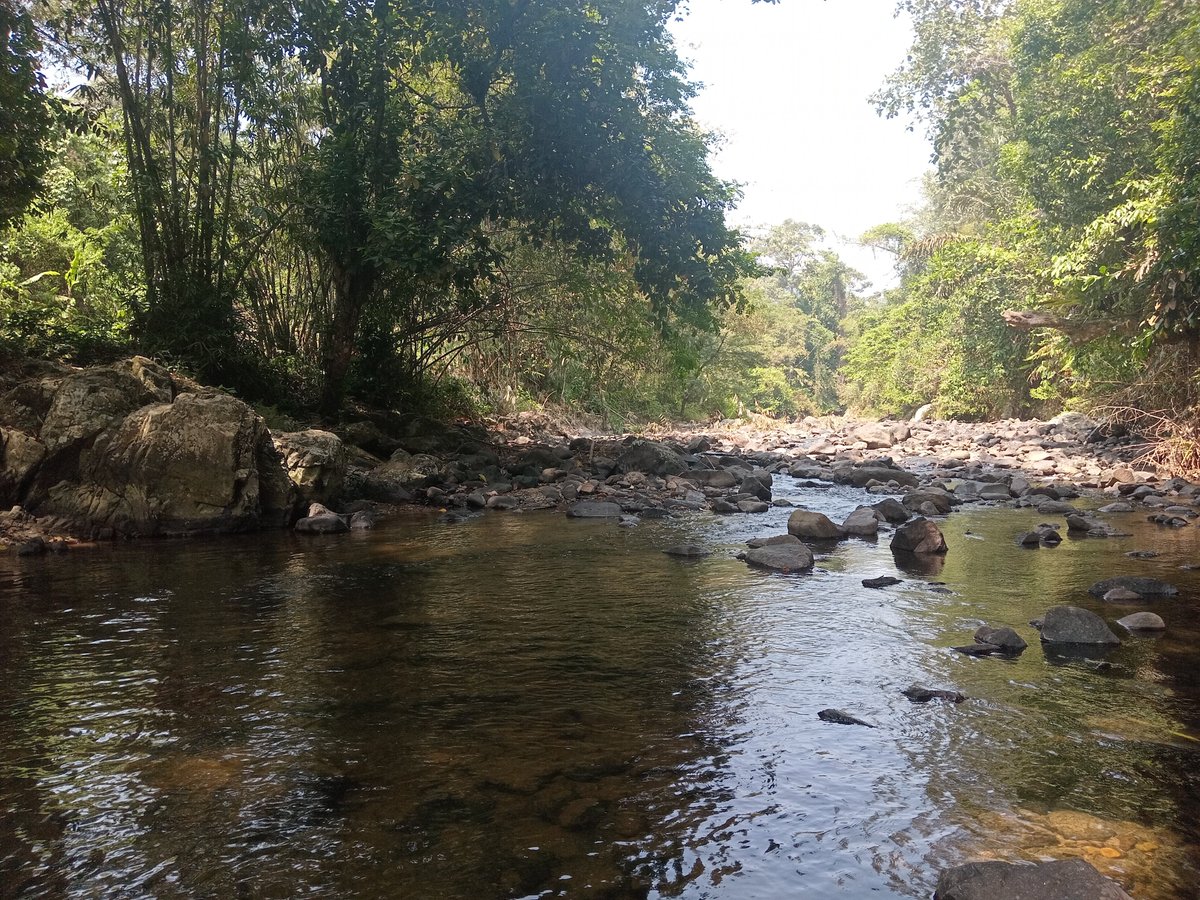 Irilrahmanr tweet media