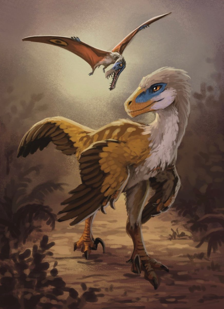 Azany (Commissions OPEN) tweet media