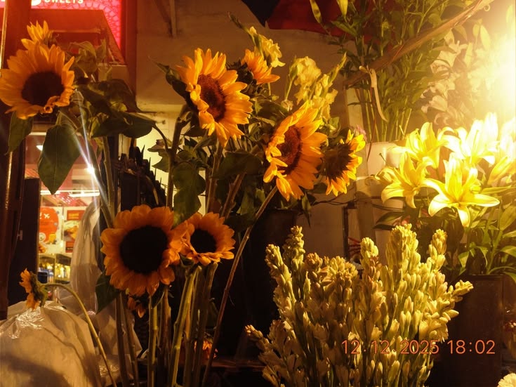 cosmxkstar's tweet photo. This isn't goodbye !!  🌻
            — #moongi mini au ๋ ࣭ ⭑

Em seus braços, a pessoa que ela ama desaparece aos poucos. https://t.co/2s8vJEI4Gq