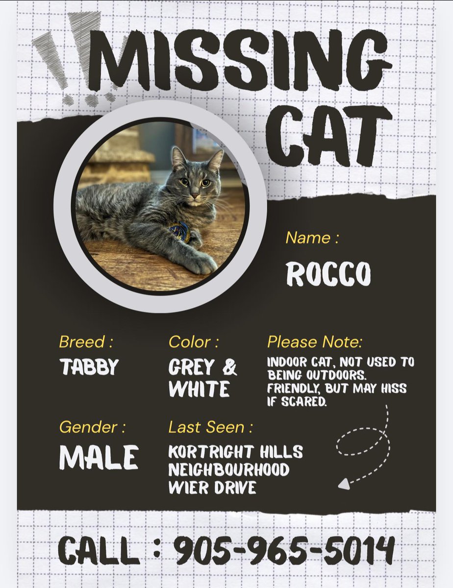 Guelph Lost Pets tweet media