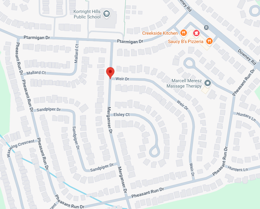 Guelph Lost Pets tweet media