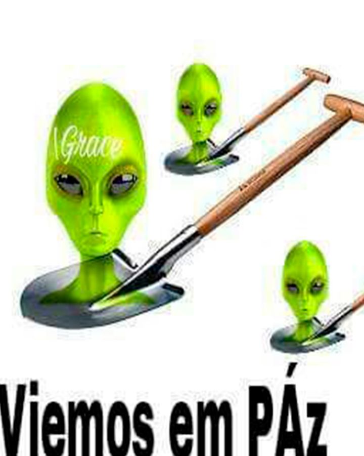 Van Grog tweet media