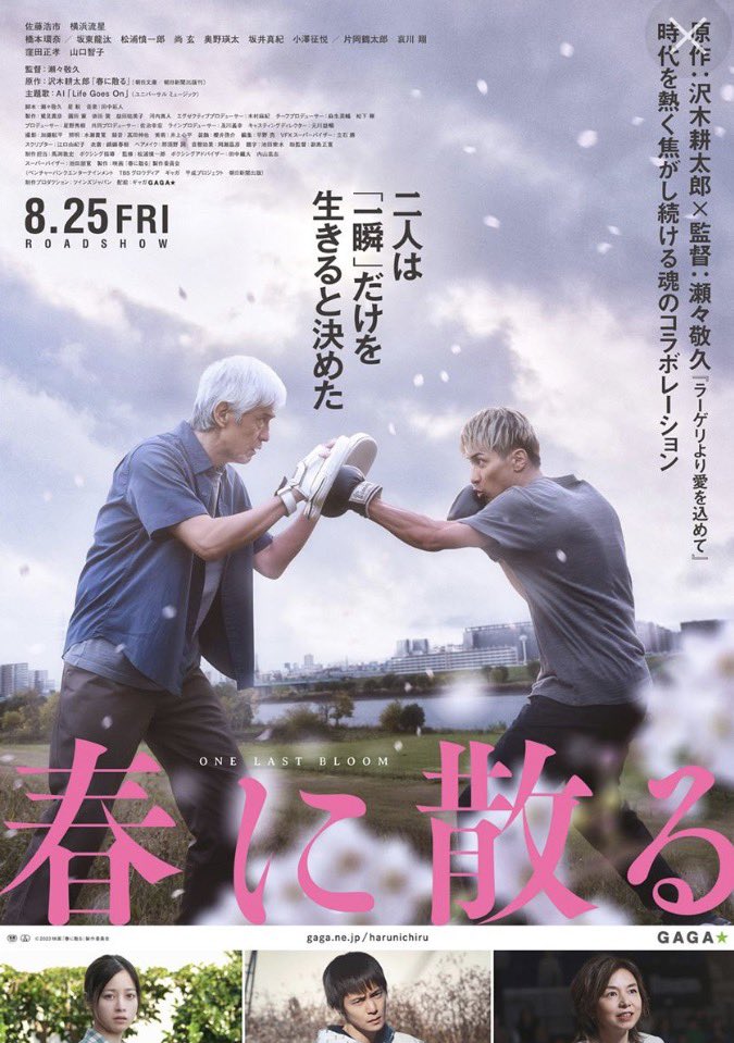 #映画レビュー 1072
#春に散る　

不公平な判定で人生を変えた元ボクサーと、
心が折れた若きボクサー。
2人が出会い、再起し、夢を追う姿を描いた、
沢木耕太郎原作、瀬々敬久作品。

本作の役作りでライセンスまで取得した、
横浜流星の全身全霊の演技。
特にボクシングシーンの鬼気迫るファイトは、