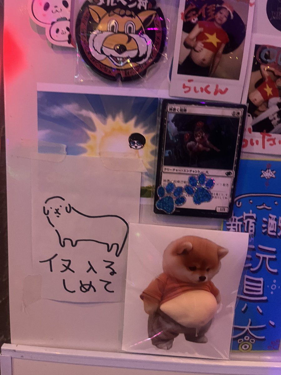 犬神ｶﾞﾛ @5/4(月)ｶﾗ誕生週🎊毎日店にいます㊗️ tweet media