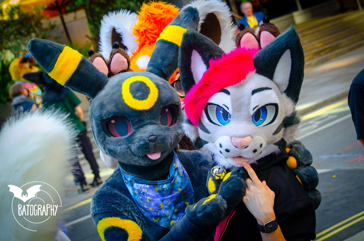 Soju cat ➔ CFZ, Awoostria tweet media