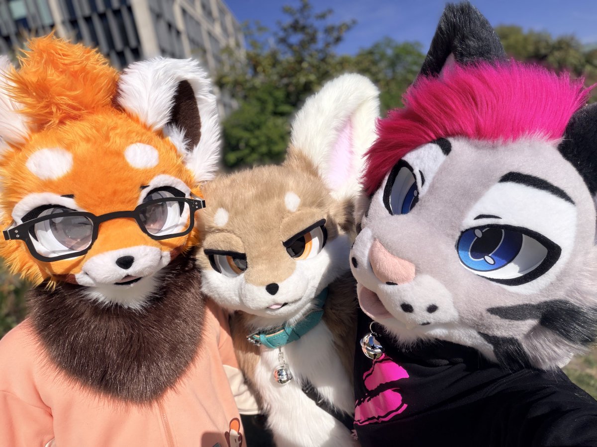 Soju cat ➔ CFZ, Awoostria tweet media