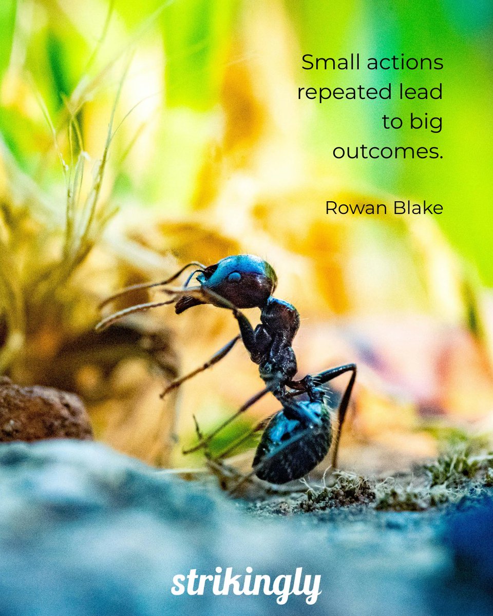 strikingly's tweet image. Small actions repeated lead to big outcomes. — Rowan Blake #startup #inspirational #Strikingly