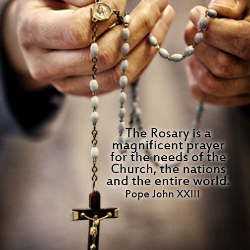 CatholicActions's tweet image. The Holy Rosary is one of the most powerful prayers and devotions. In fact, the #Rosary is a complete school of spirituality and a pathway to #Heaven. More on the Holy Rosary at catholicaction.org/the_rosary 📿🙏.