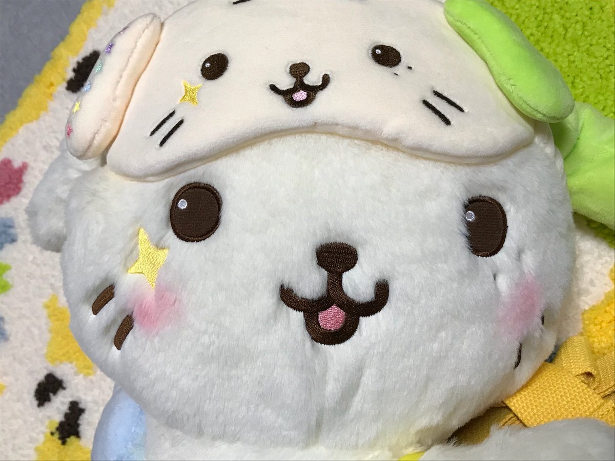 찌 tweet media