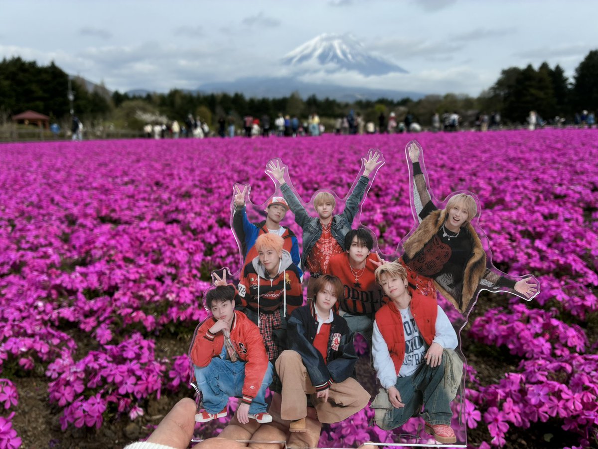 もっぴ tweet media