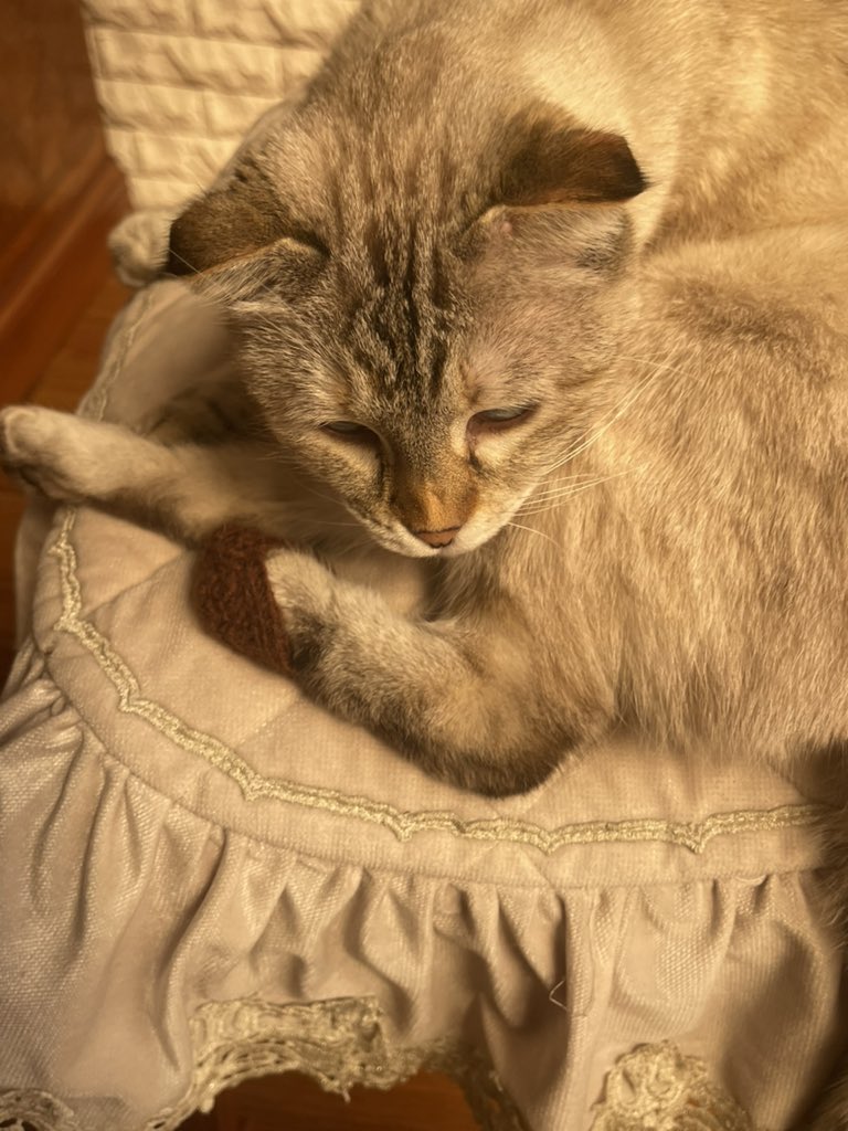 гуляя!¡ tweet media