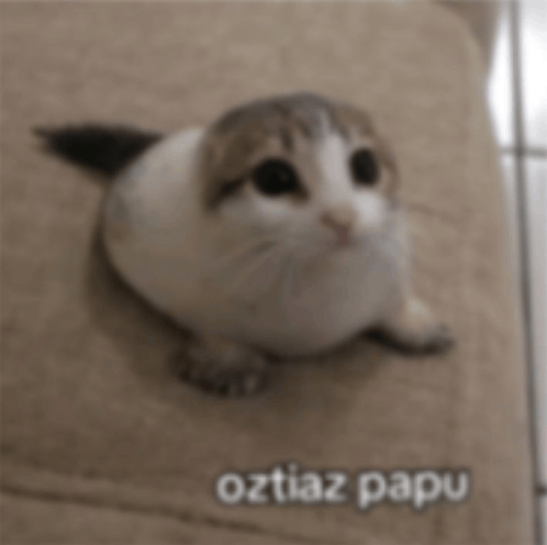 la dualidad del hombre...
quiere comentarios positivos y cuando los tiene, no les toma mucha importancia, pero ahh díganle algo malo y le presta mas atención a eso