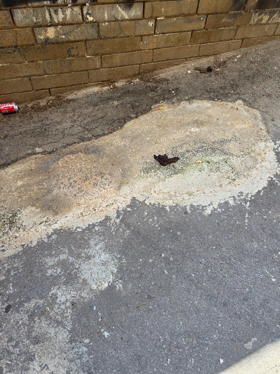 Pirata Rojo tweet media