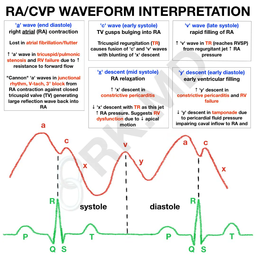 CardiovascularCorner tweet media
