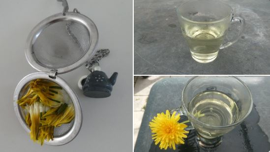 dvanduuren1's tweet image. Day of the Dandelion
Dag van de Paardenbloem

Each Year 
on last Sunday of April

🫖 When You make Tea:

be sure you soak the Flowers
in water and keep them in the Fridge
at least 12 Hours

see/read more:

en.wikipedia.org/wiki/Taraxacum…

#dagvandepaardenbloem #dandelion #tea