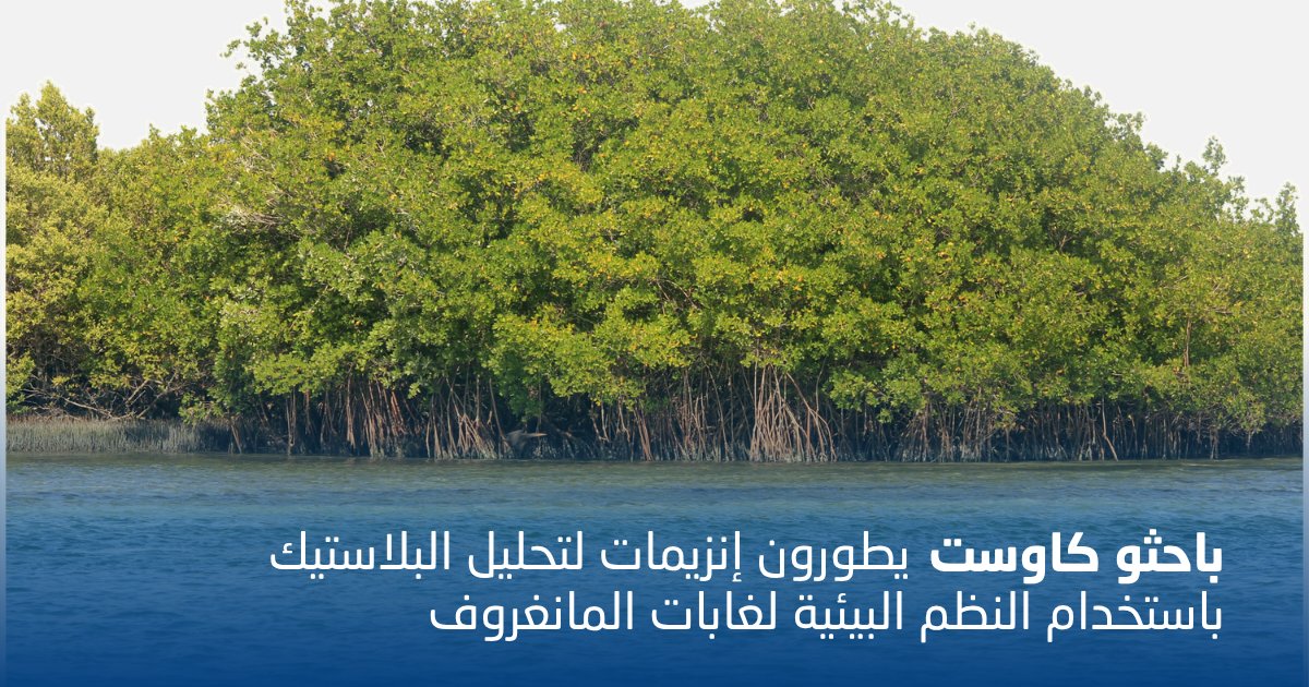 كاوست tweet media