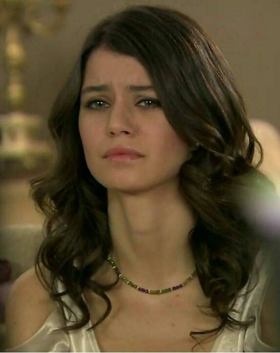 Pop Fest tweet media