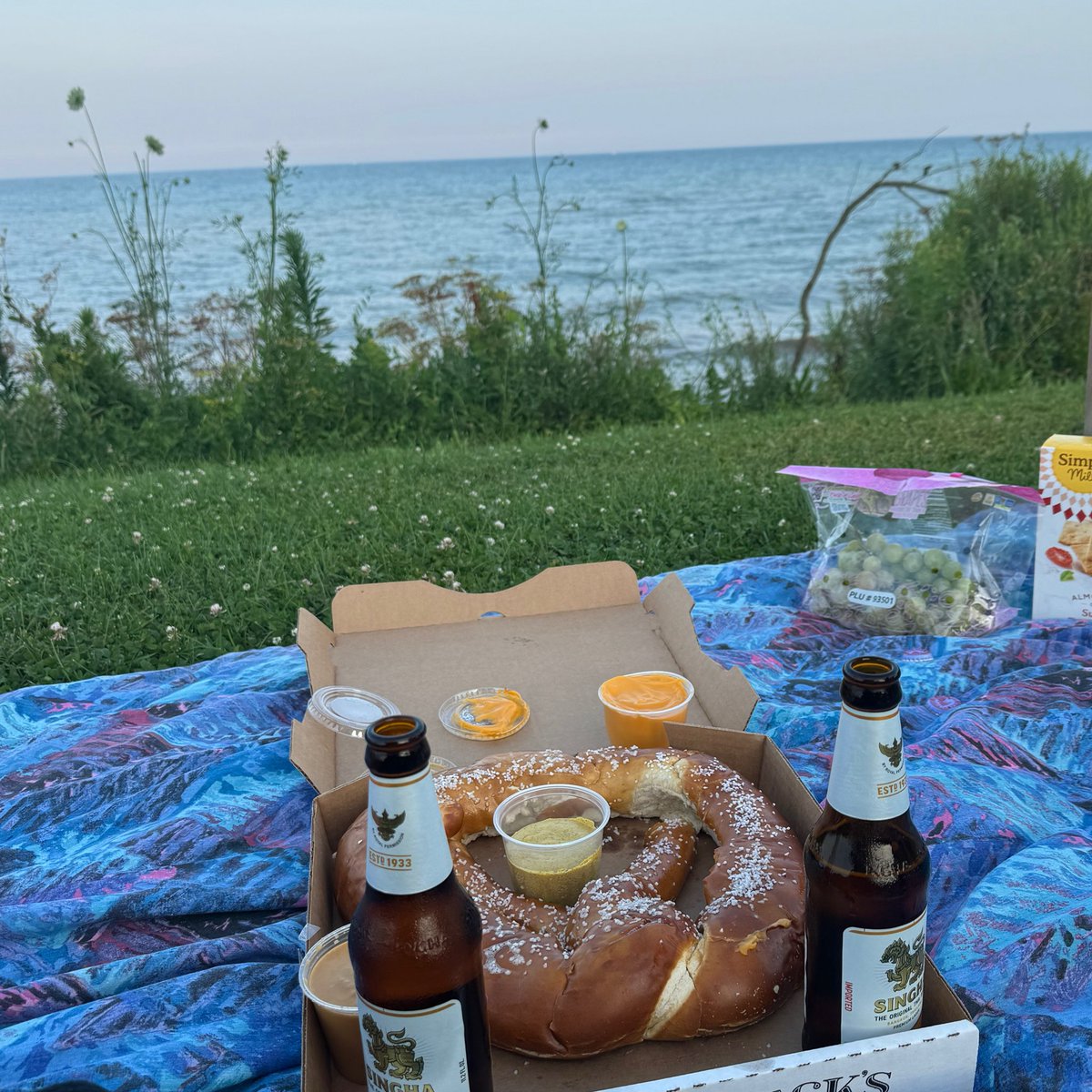 rust belt city girl tweet media