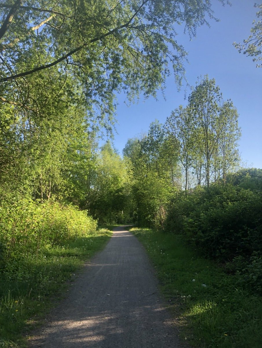 izyv0's tweet photo. #springmaxxing and #walkmaxxing https://t.co/HWGZGoIUtw