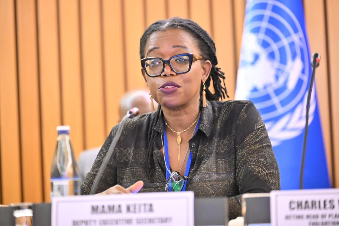 ECA_OFFICIAL's tweet image. At the #ARFSD12 pre-event on SDG-STYIP Impact Labs, DES @mamakeita_mama highlighted Africa’s decisive moment—with less than 5 years to deliver on the #SDGs and the launch of Agenda 2063’s Second Ten-Year Plan driving a Decade of Acceleration.