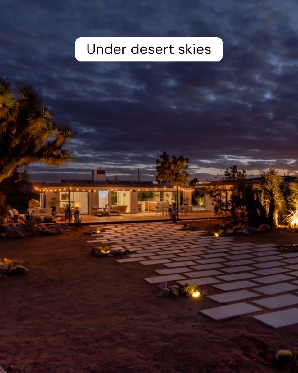 Properstay22045's tweet image. Joshua trees lit from below. Clouds rolling like slow cinema. This is The Edge after dark — and spring stargazing season is here.

#JoshuaTree #DesertNight #Stargazing