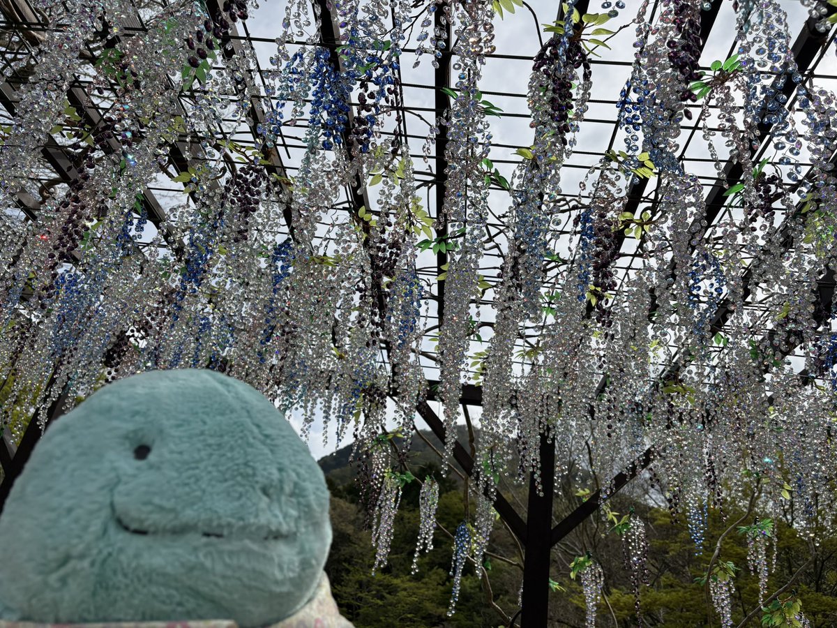 もえちょん@ふわヌオ垢 tweet media