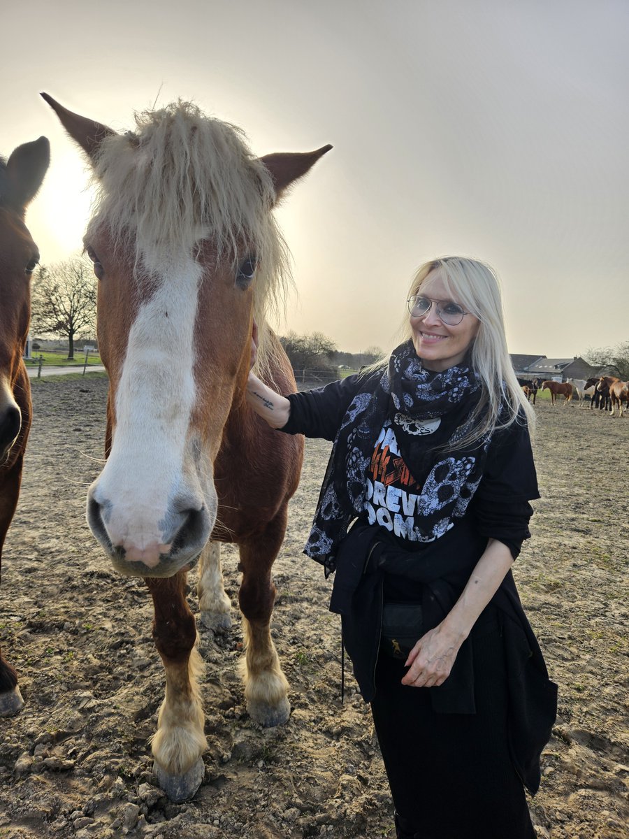 DoroOfficial's tweet image. U can see how incredibly happy these heavenly creatures make me. I love all animals, but #horses are very special beings w/ whom I develop a uniquely deep connection. They are a gift from #God for which I am eternally grateful.
🐴❤️🐴🙏🐴
#Love, #Doro Pesch

#doropesch
#warlock