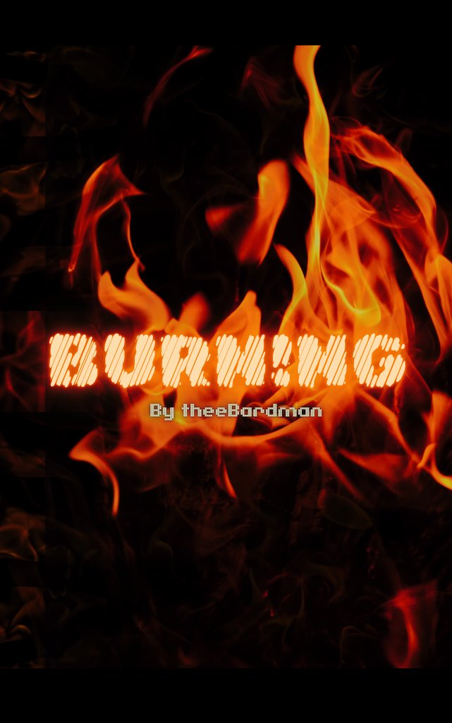 theebardman's tweet photo. I'm currently writing a Best seller. 

BURN!NG by TheeBardman.  

Coming Sooner Than Expected! 🔥

#burningbytheebardman #theebardman https://t.co/bjvliUdUc3