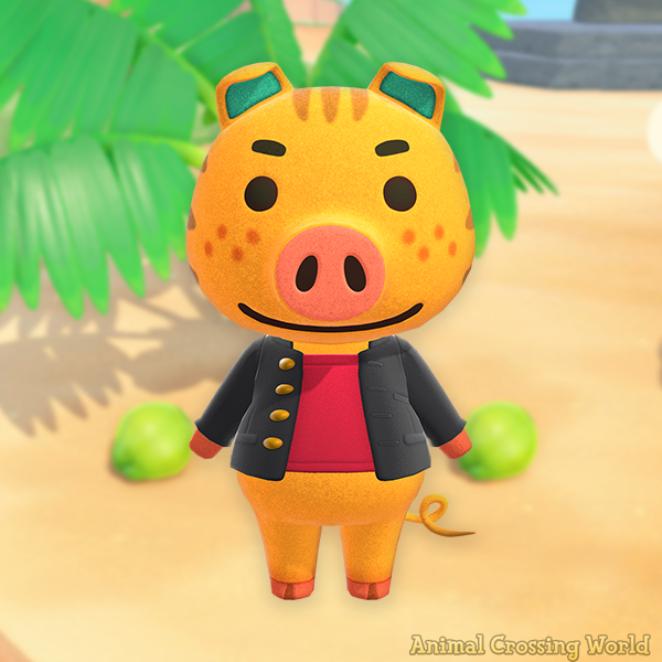 Animal Crossing World 🏝️ tweet media