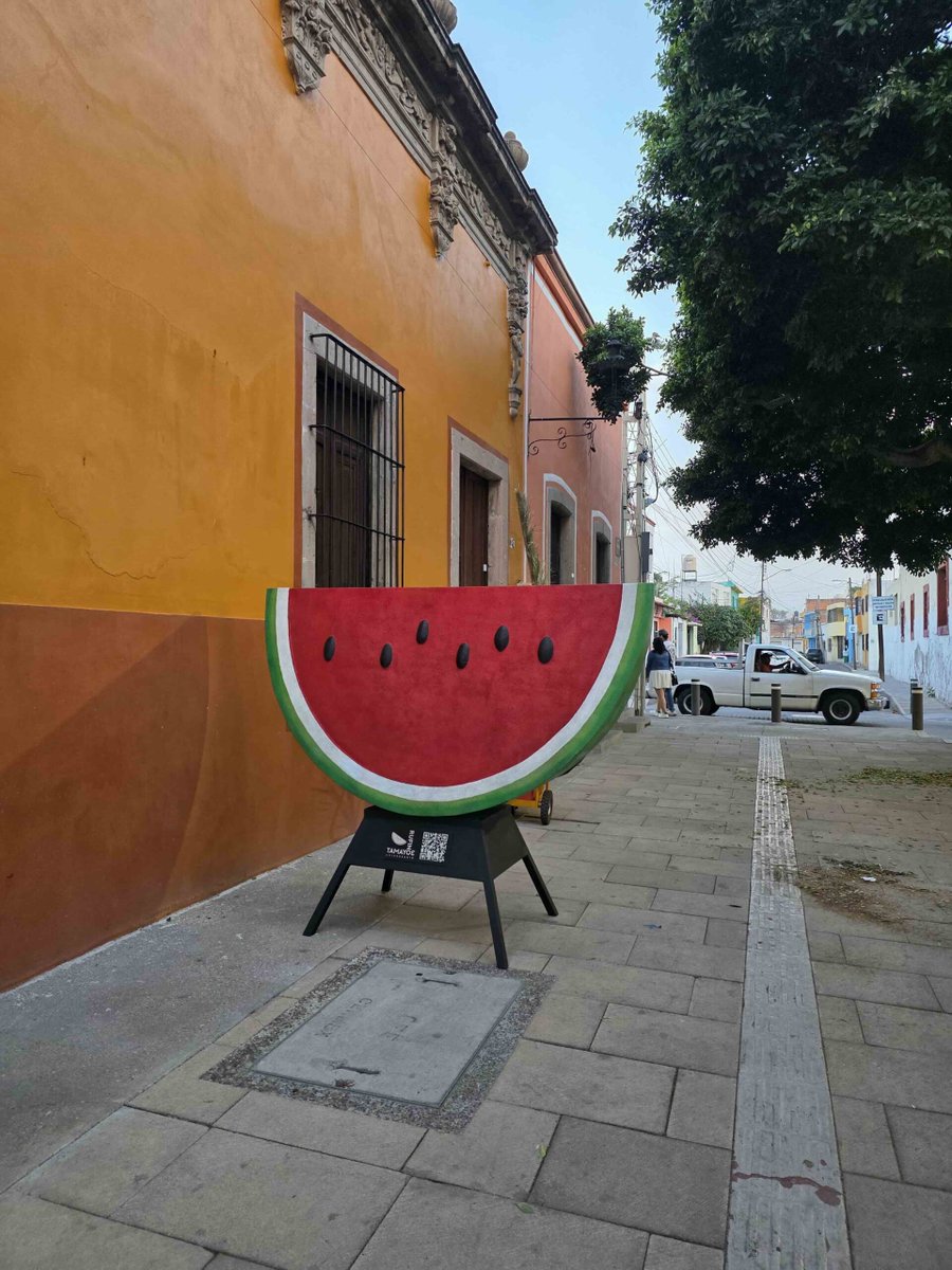 PeriodistasU's tweet image. Irapuato celebra tres décadas del legado de Rufino Tamayo con una exhibición que revitaliza el centro histórico. La muestra rinde homenaje a uno de los referentes más importantes del arte mexicano, acercando su estética y colorido a nuevos públicos en espacios públicos. 🎨 #Arte