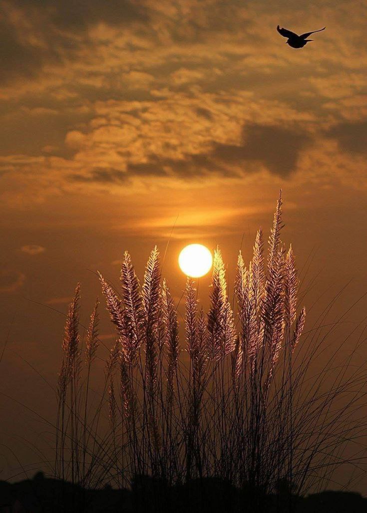 🩺🅰🅷🅼🅴🅳 tweet media