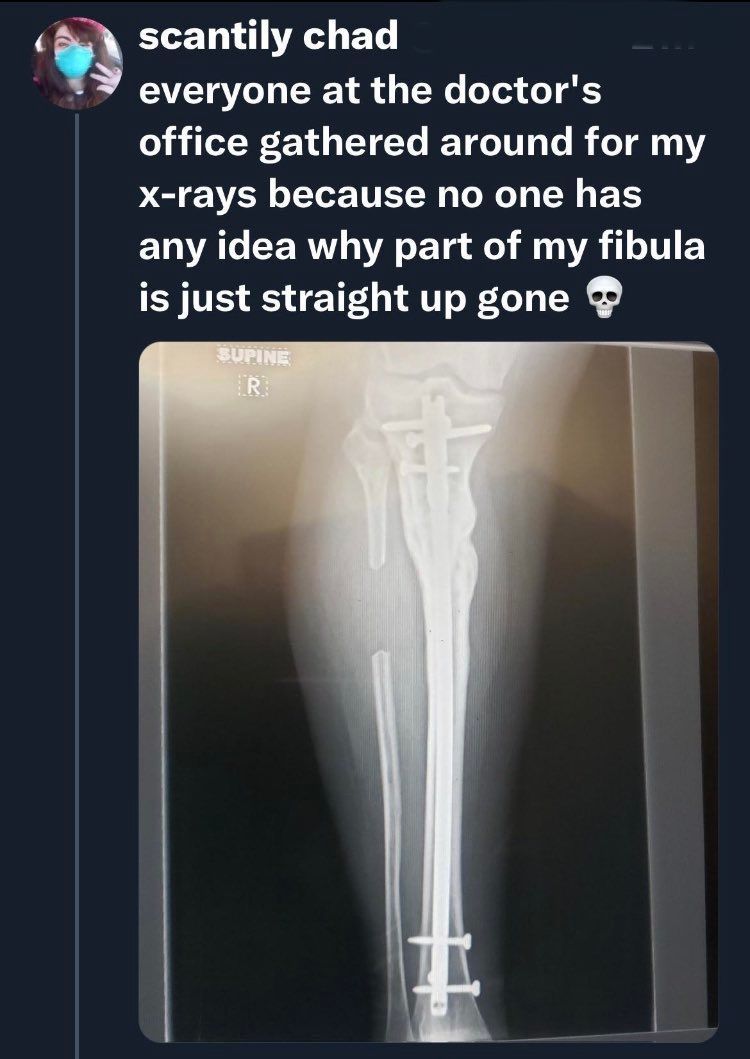 dinosaur tweet media