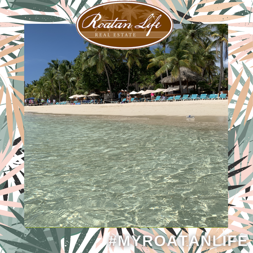RoatanLife's tweet photo. Discover the breathtaking natural beauty of Roatan! 🌊🏝️ 

This tropical paradise is not just a dream vacation spot but also an incredible opportunity for real estate investment!

Don’t miss out on your chance to own a piece of paradise! 🏡💙 

#MyRoatanLife  #LuxuryLiving https://t.co/3j7R0b45sy