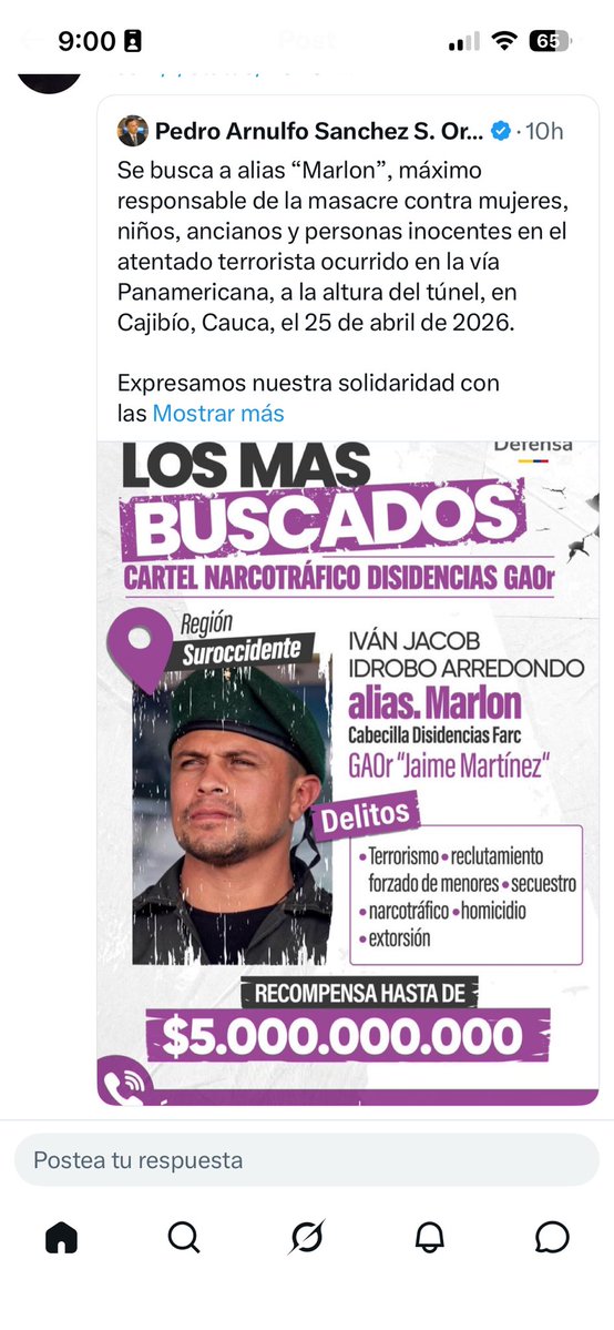 helia diaz tweet media