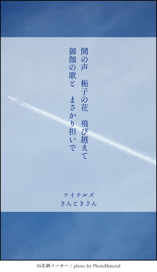 早蕨 tweet media