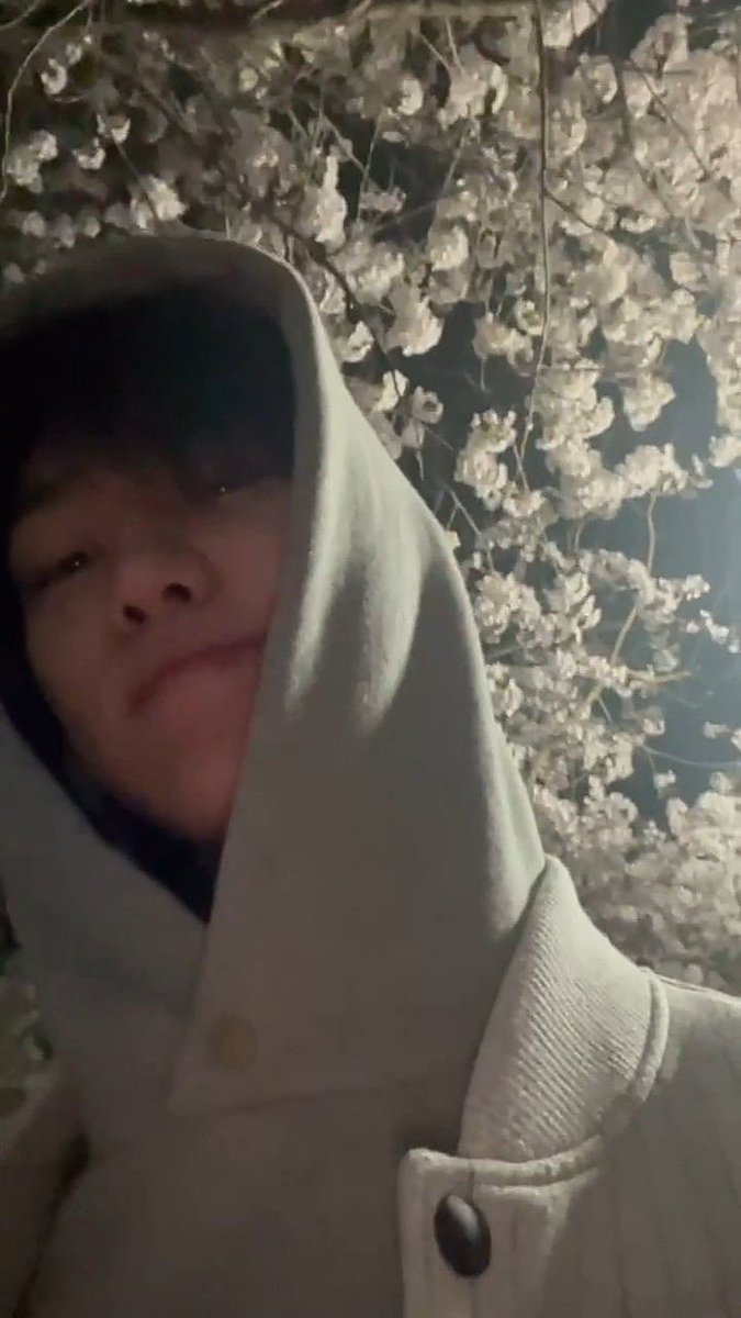 UNBEHAVlOUR's tweet image. A day in Japan with bocil 🇯🇵

#LatePost