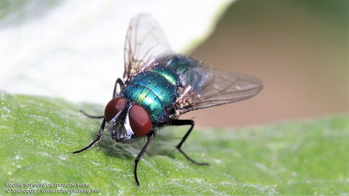 Diary Of An Overthinker tweet media