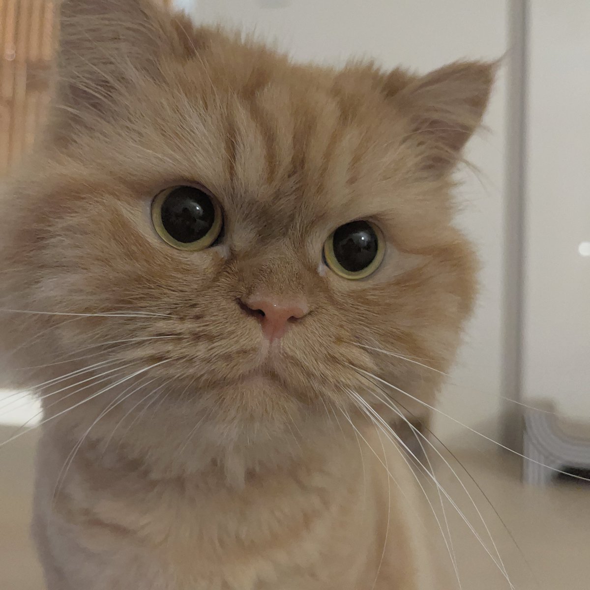 동북맘 tweet media