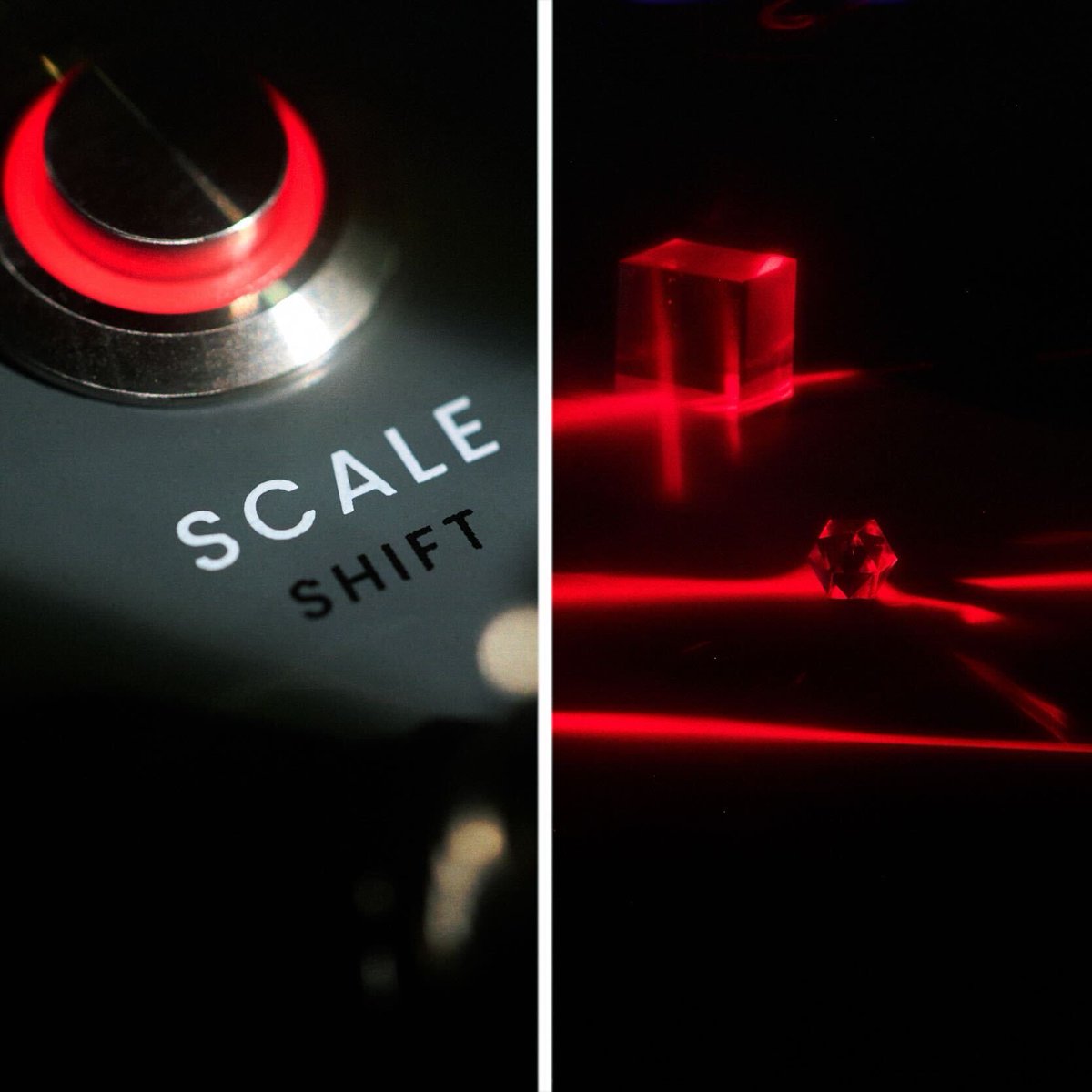 chase bliss tweet media