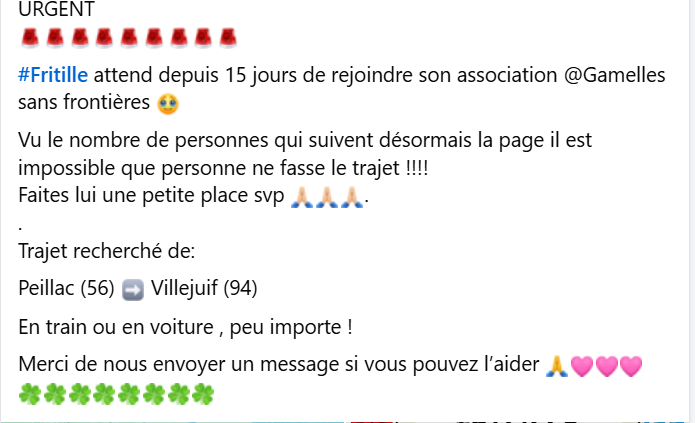 justine44 (@justineducern) on Twitter photo 