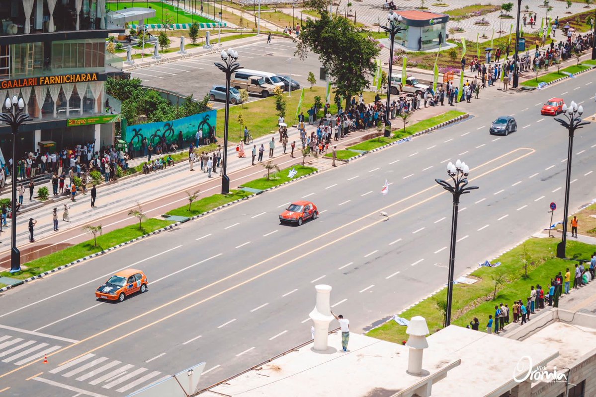 Land of Origins tweet media