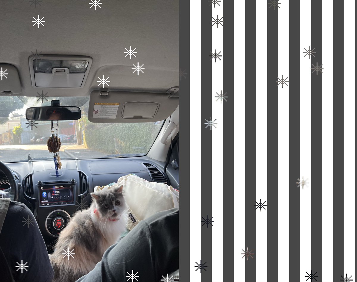 🎐 oumi tweet media