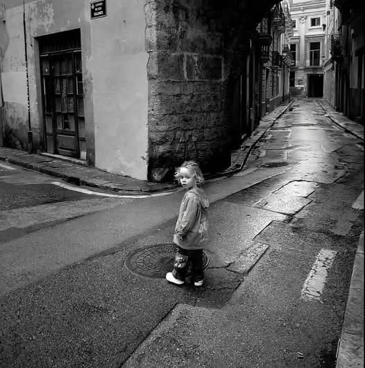 Mario Cippitelli tweet media