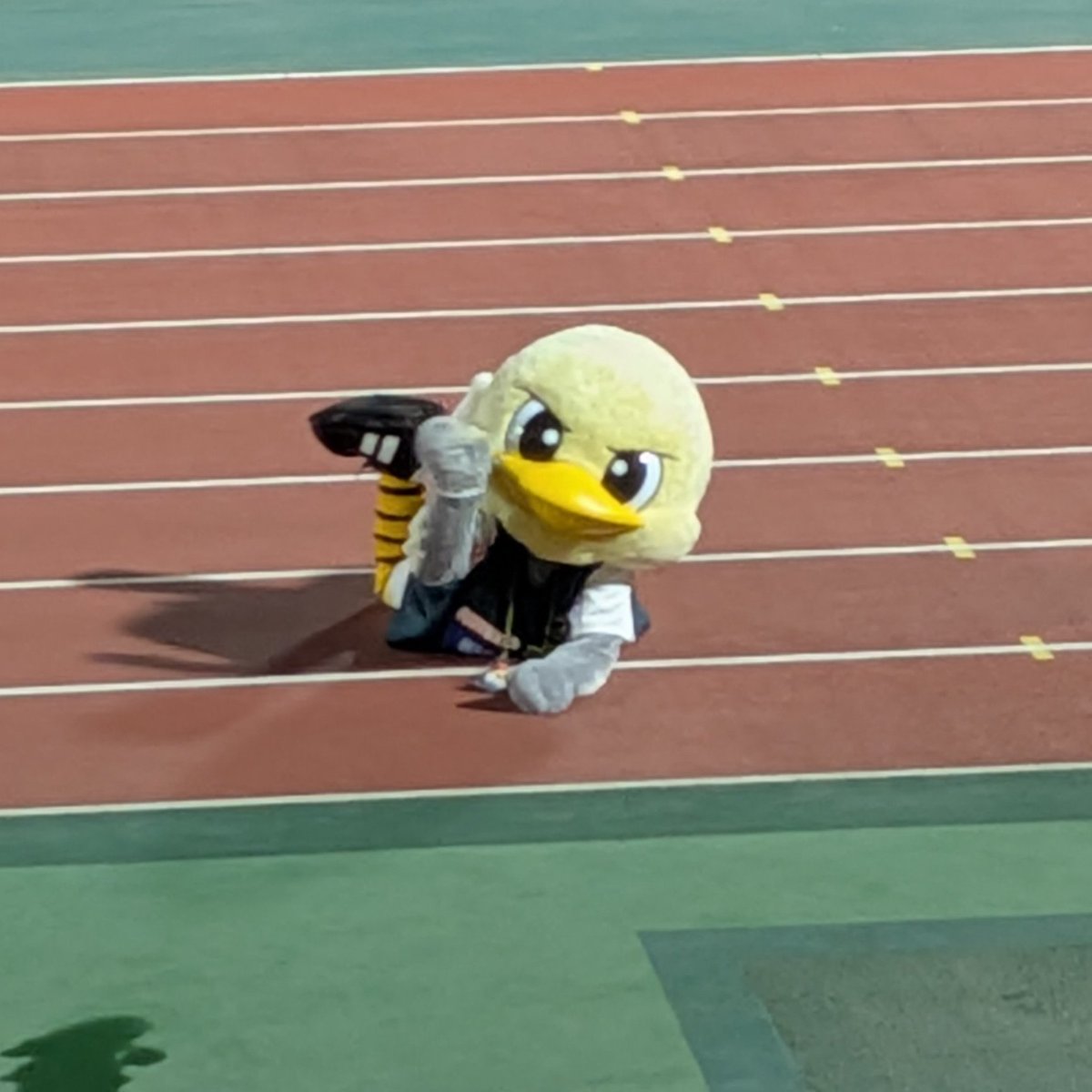 kohaはこ tweet media