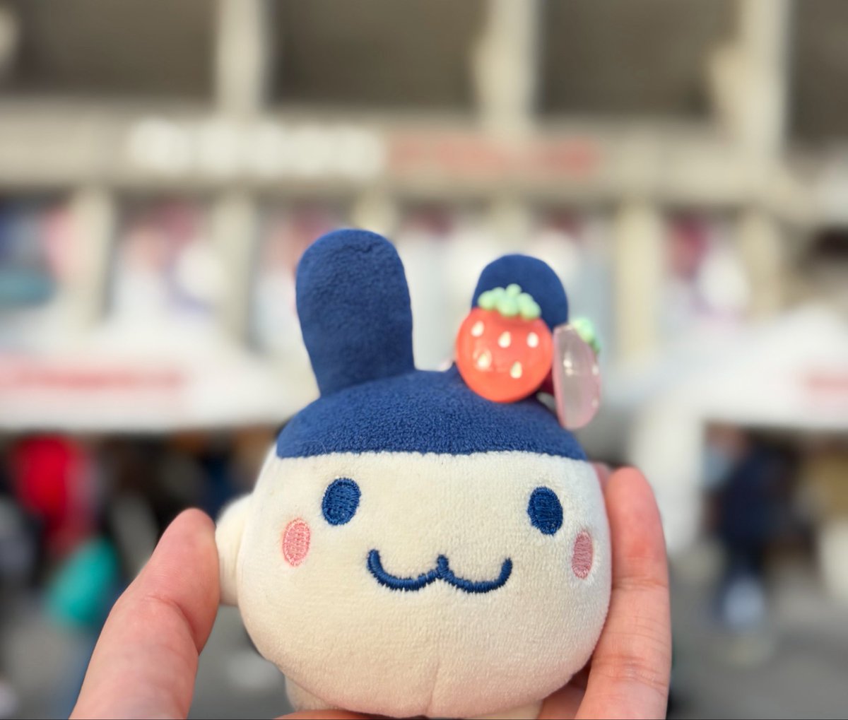 ろしぃ🥚 tweet media