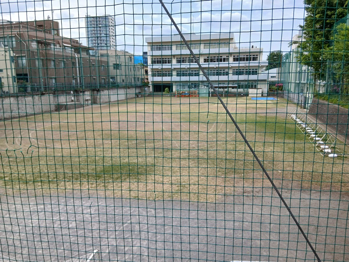 自認ころとん(T(玉)ざらし) tweet media