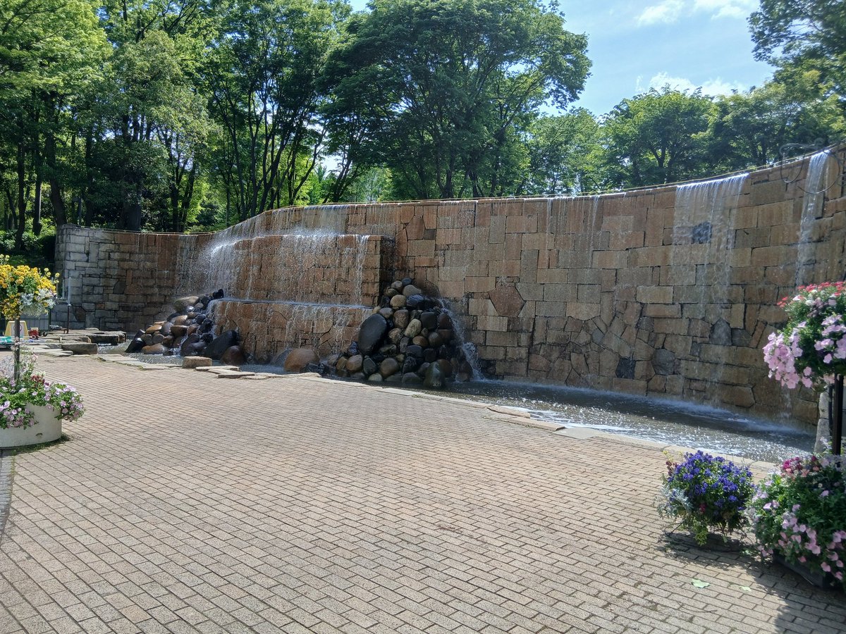 自認ころとん(T(玉)ざらし) tweet media