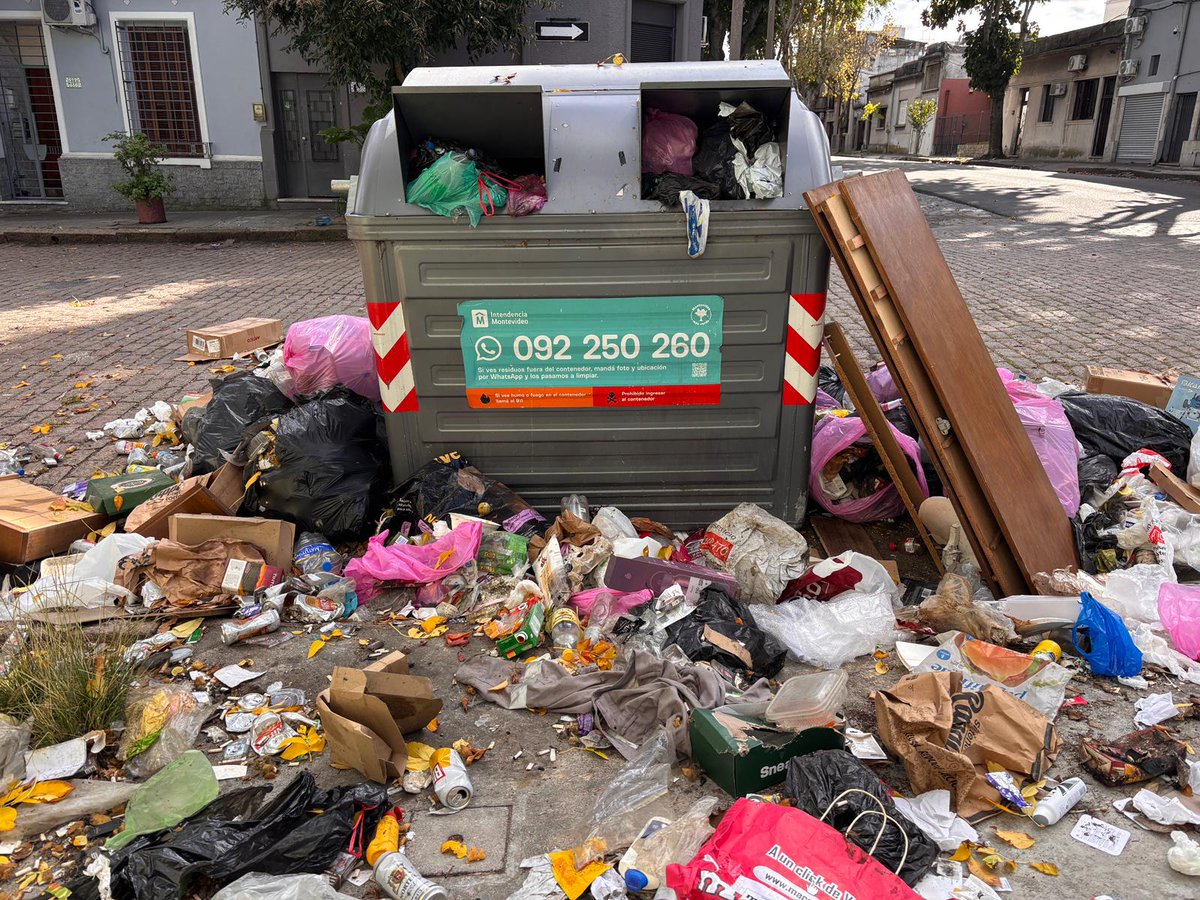 Bruno Astengo Repetto tweet media