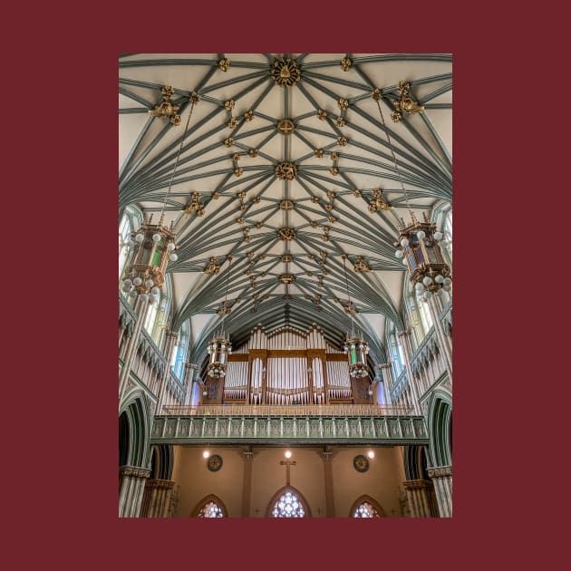 DebraMartz's tweet image. The beautiful St Dunstan Basilica Pipe Organ Charlottetown Prince Edward Island
teepublic.com/t-shirt/566188…
@debramartz
#PipeOrgan #Church #PEI #Charlottetown #PrinceEdwardIsland #basillica #interior #photography #giftideas #tshirts #magnets #posters #stickers #tapestry #teepublic