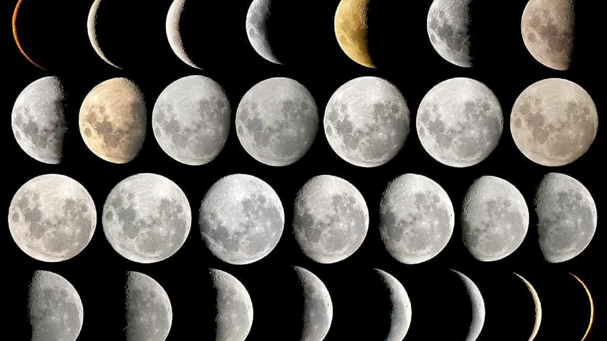 rahimfaid tweet media